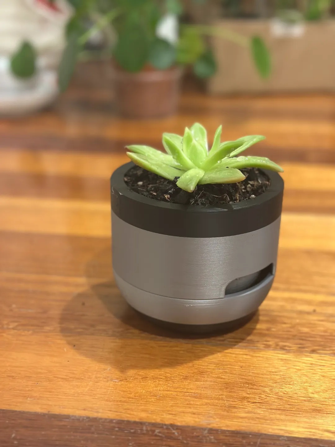 Samonavodnjavajuća Sadnica Nilo - Samozalivajuće saksije i dodaci za biljke, slika 3